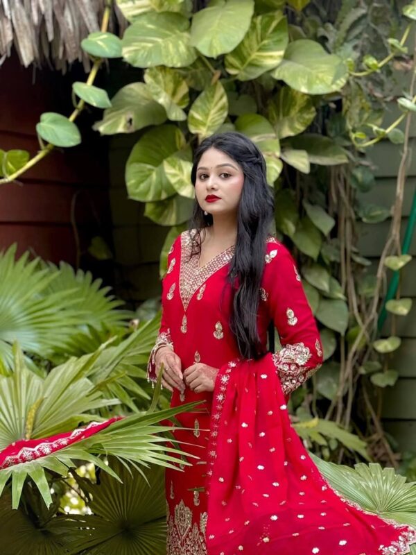 Indian Fox Georgette Three Piece Set - Image 2